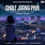 Chale Jaana Phir (Humko Tere Bina) [Slowed + Reverb]-cover