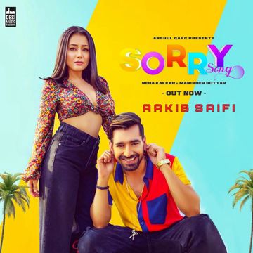 Sorry Song-cover