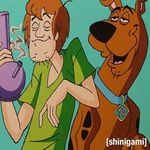 whats new scooby doo?-cover