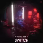 Switch-cover