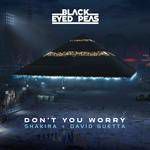 DON'T YOU WORRY-cover