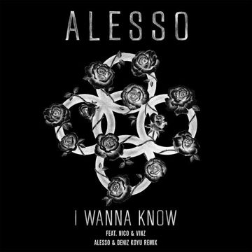 I Wanna Know(Alesso & Deniz Koyu Remix)-cover
