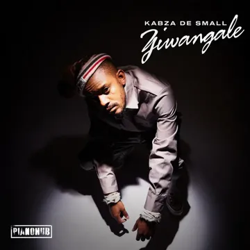 Ziwa Ngale-cover