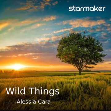 Wild Things-cover