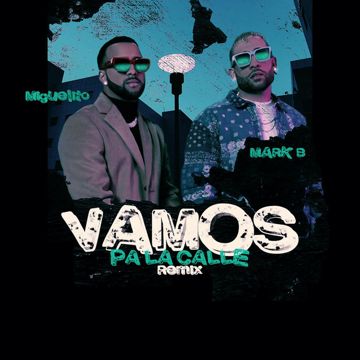 Vamos Pa' La Calle - Remix