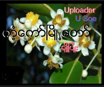 ကံ့ေကာ္ၿမိဳ႕ေတာ္ ChoPyone