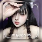 Hoa LĂĄ Thay LĂ˛ng(Remix)