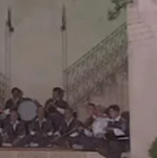 Fincanın Etrafı Yeşil-cover