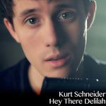 Hey There Delilah-cover
