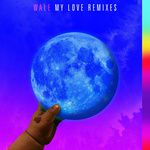 My Love(Joe Maz Remix)