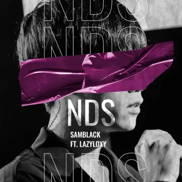 ไร้เดียงสา (NDS)-cover