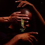 Distrust-cover