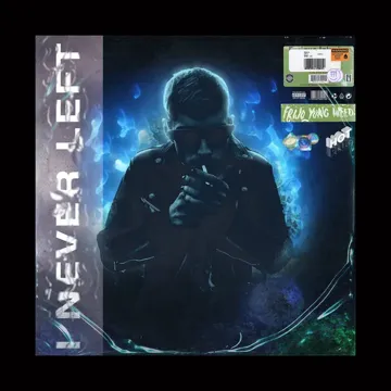Like Boss-cover