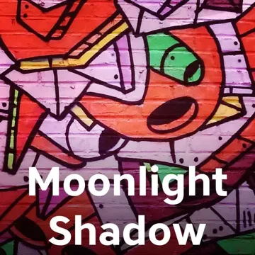 Moonlight Shadow-cover