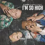 I&039;m So High-cover