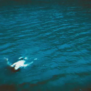 coveImg