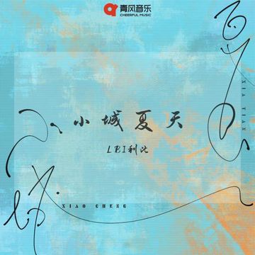 小城夏天 (Dj沈念版)-cover