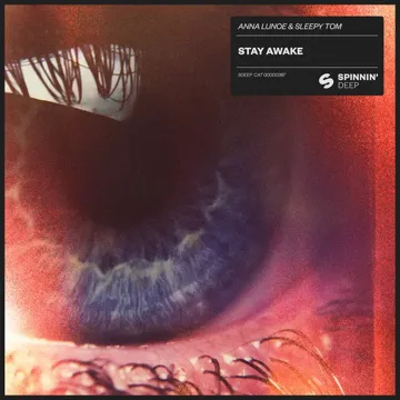 Stay Awake-cover