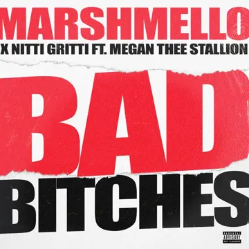 Bad Bitches (feat. Megan Thee Stallion)-cover