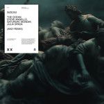 The Ocean(AN21 Remix)(Remix)-cover