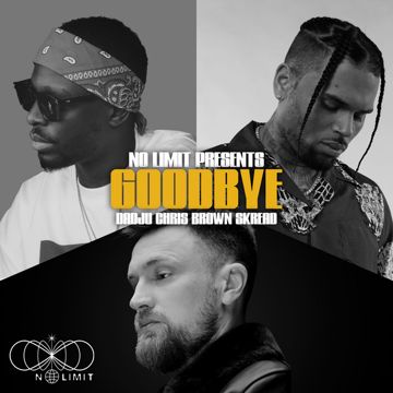 Goodbye-cover