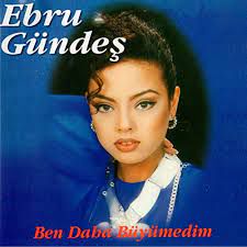 Fırtınalar-cover