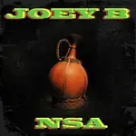 Nsa-cover