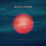 Just a Fool(Paratone Remix)-cover