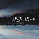 迷失路口-cover