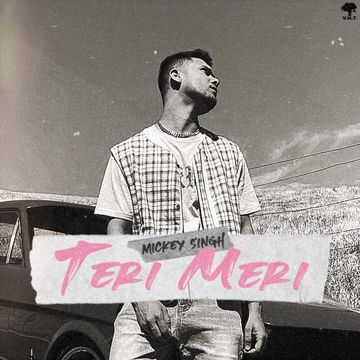 Teri Meri-cover