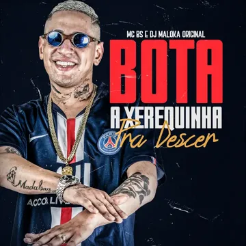 Bota a Xerequinha pra Descer-cover