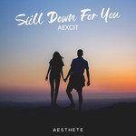 Still Down For You-cover