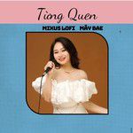 Từng Quen-cover