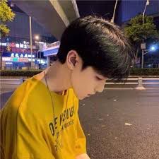 Hoa Tím Ngày Xưa-cover