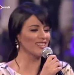 Dağlar seni delik delik delerim-cover