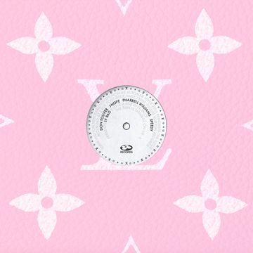 LV Bag-cover