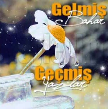 Gelmiş bahar geçmiş yazlar-cover