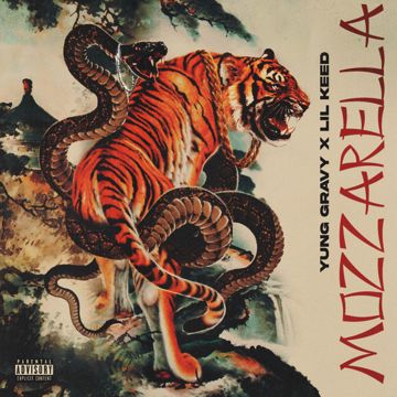 Mozzarella-cover