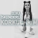 Seni Severdim-cover