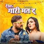 Dekha Gaari Mat Da-cover