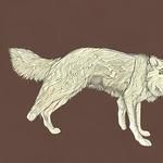 She Wolf(Falling To Pieces)(Instrumental version originally performed by David Guetta feat. Sia)(无和声-cover