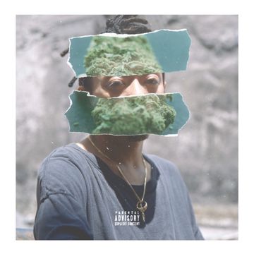 MORI N NAKA (MORINGA)