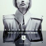 Mind If I Stay(Izzat Remix)-cover