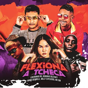 Flexiona a Tcheca (Remix)-cover