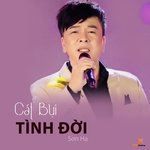 Cát Bụi Tình Đời-cover