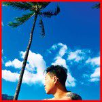 태양-cover