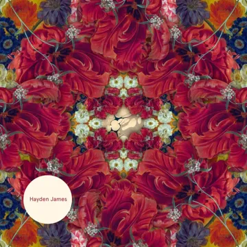 Permission To Love-cover