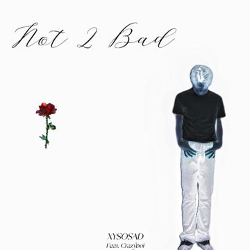 Not 2 Bad-cover