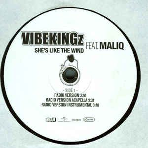 She´s like the Wind RNB Version-cover