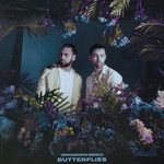 Butterflies(Snakehips Remix)-cover